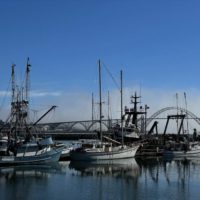 a view of the large boats in Newport Harbor which is on the list of top things to do in Newport, OR