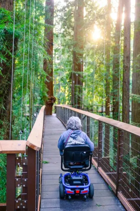 The Redwoods Skywalk is ADA Accessible.