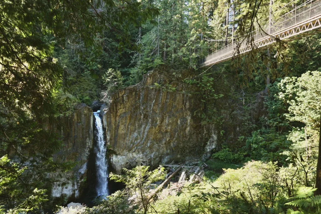 a view of Drift Creek Falls after walking along the suspension bridge, before hiking down to the falls