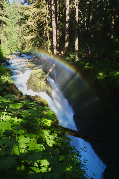 A rainbow over Sol Duc Falls which is a hike on this Washington Road Trip