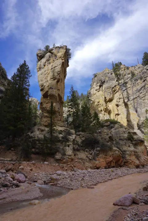 "Tom's Head" is an easy identifier of the split for Rattlesnake Creek.