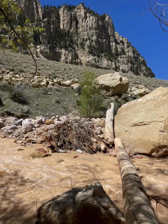 A log crossing at the beginning of Ashdown Gorge Trail