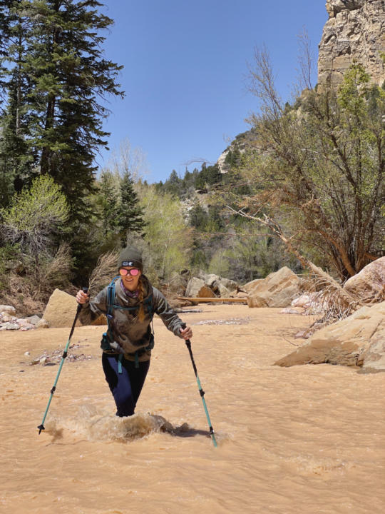 Emily crossing Ashdown Creek