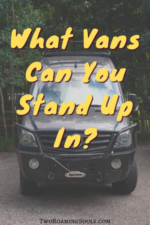 What Vans Can You Stand Up In Pin 1