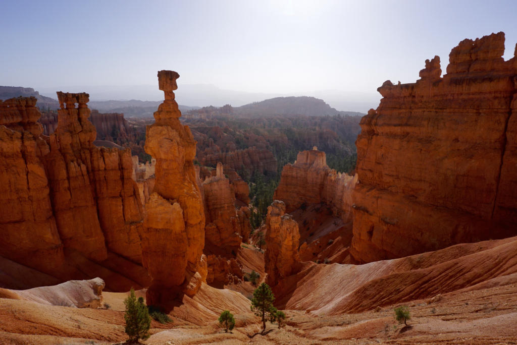 Thor's Hammer is one of the most iconic hoodoos in Bryce Canyon NP.