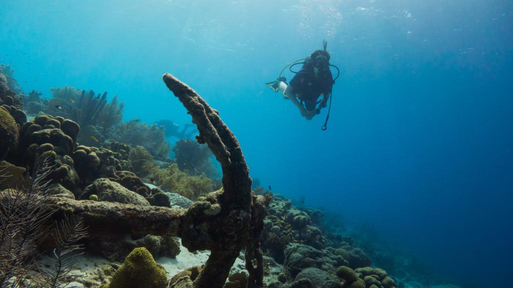 a picture of someone under water scuba diving which is one of the best things to do in Soufriere
