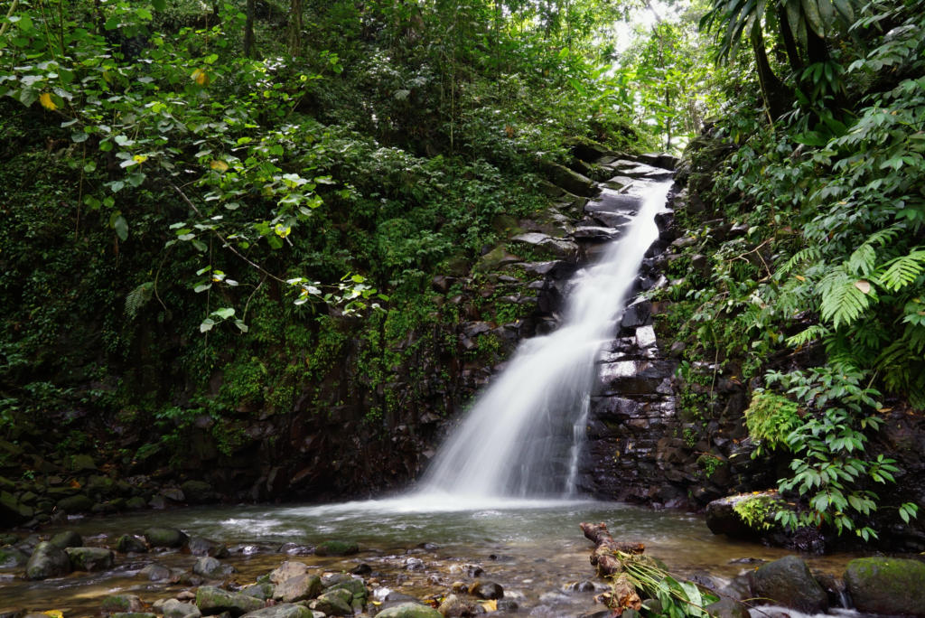 En Bas Saut Waterfall in St. Lucia.