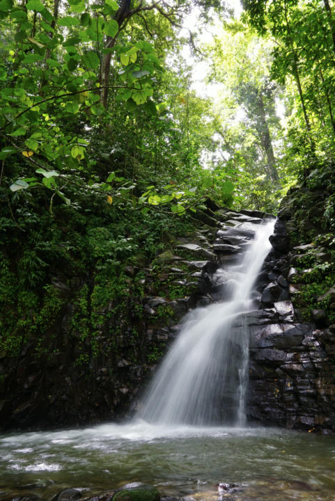 En Bas Saut Waterfall