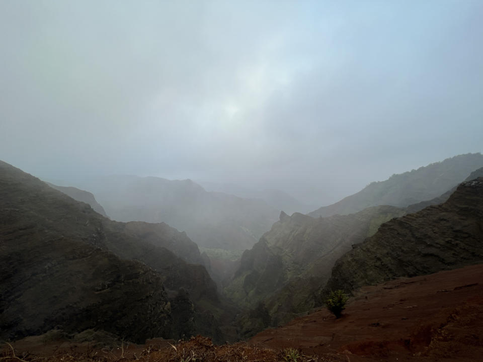 Clouds and Low Visibility are common in Waimea Canyon State Park and Kokee State Park