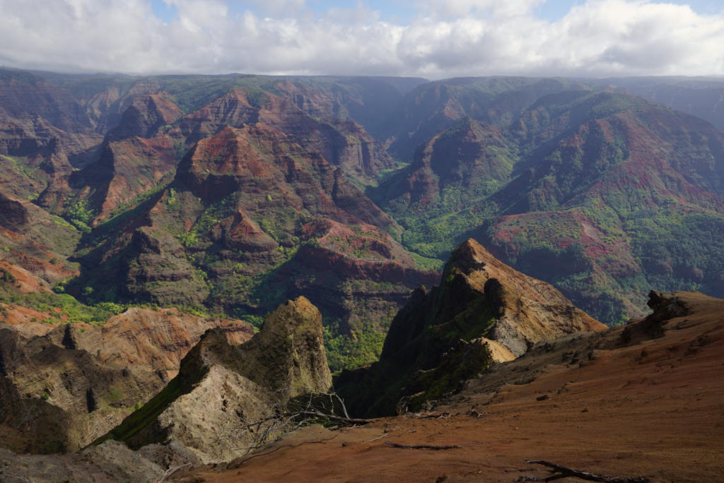 Waimea Canyon View has the best panoramic views of the park.