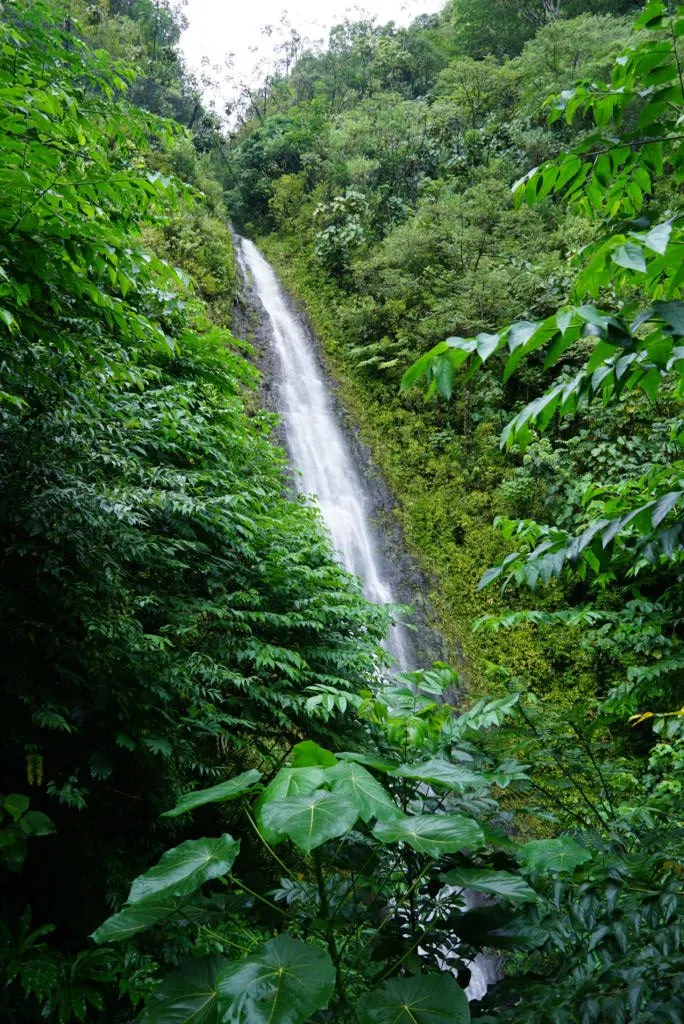 Long exposure of Manoa Falls