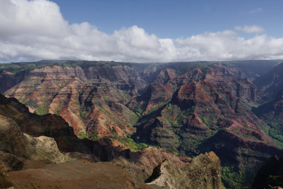 Waimea Canyon and Kokee State Park Guide To The Best Spots Two