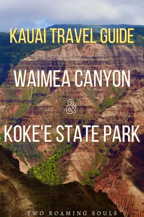 Waimea Canyon & Kokee State Park Guide