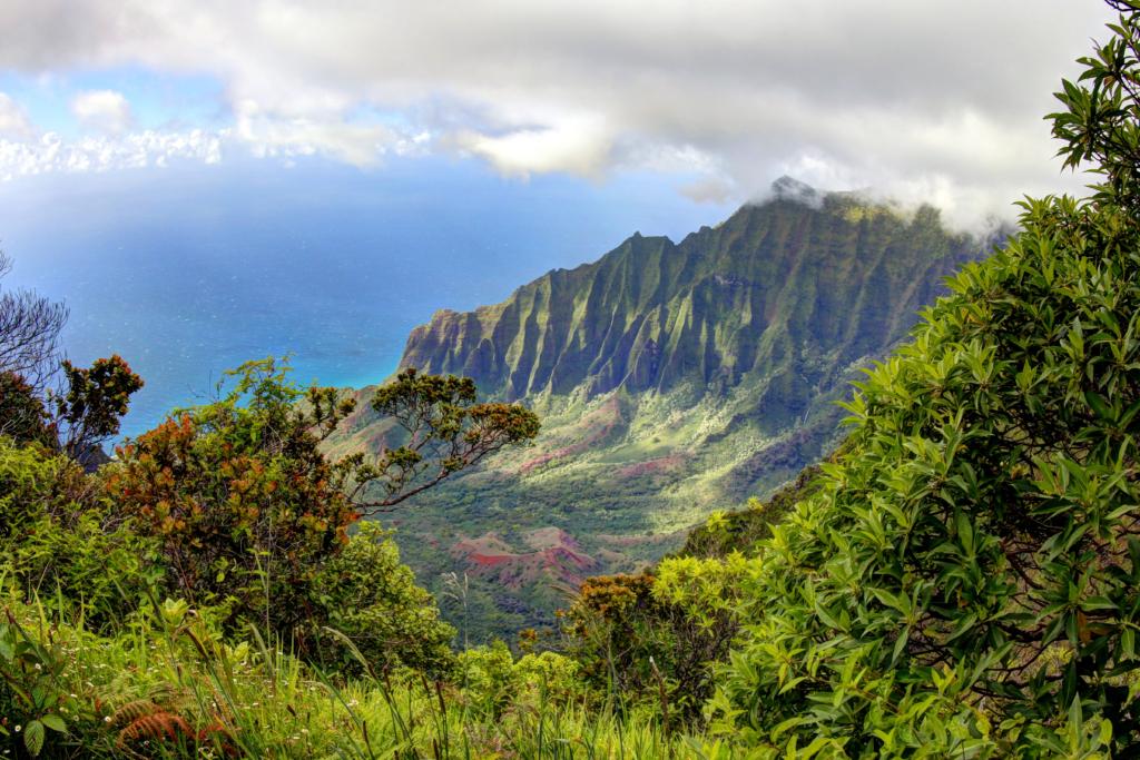 Kalalau Lookout in Kokee State Park - Photo by Paul Crook on Unsplash