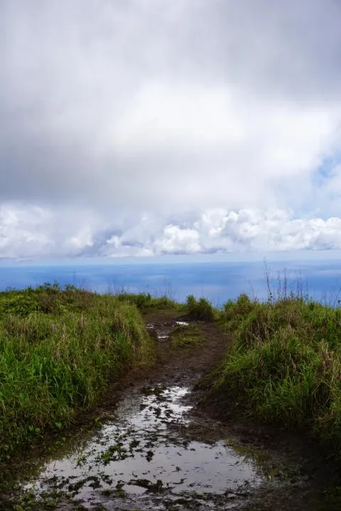 A muddy trail in Hawaii.