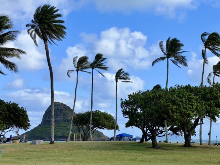 Where To Camp In Oahu Hawaii & How To Book A Camping Permit? Two Roaming Souls