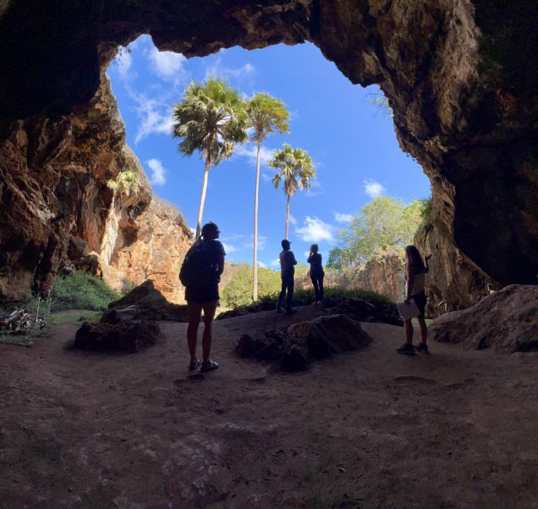 Historic Limestone Cave on the Maha’ulepu Heritage Trail
