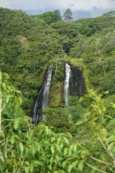 view of Opaeka'a Falls from the parking lot which is one of the best hikes in Kauai
