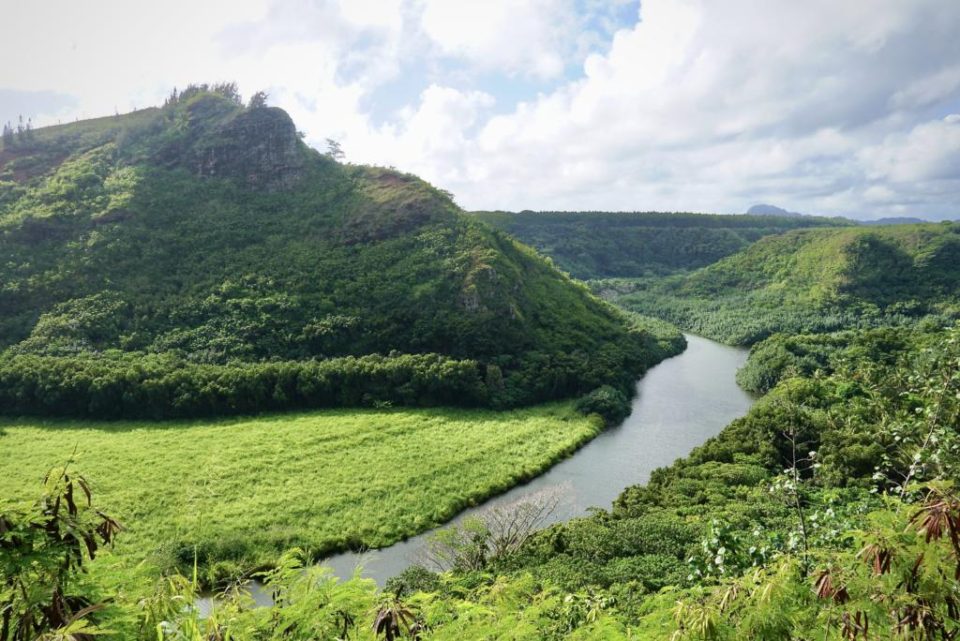 Best Hikes in Kauai (Including Epic Viewpoints) - Two Roaming Souls