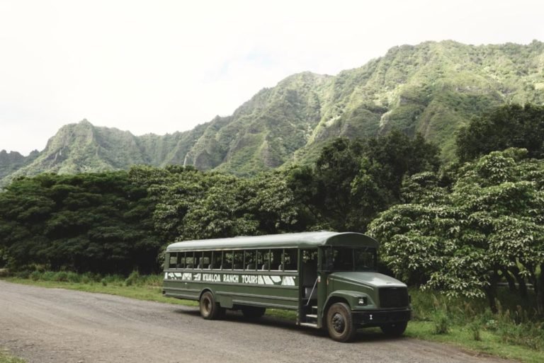 How To Get Around Oahu | Car, Bus, Trolley, Bike, Scooter, and More ...