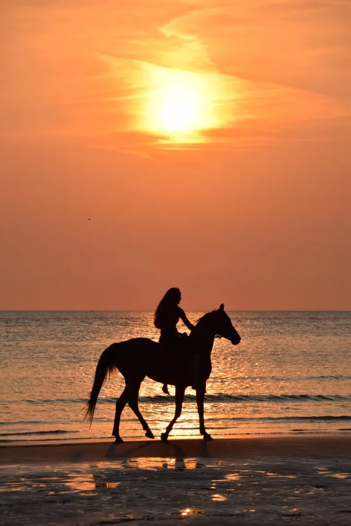 horseback riding at sunset, which is one of the best st. lucia excursions
