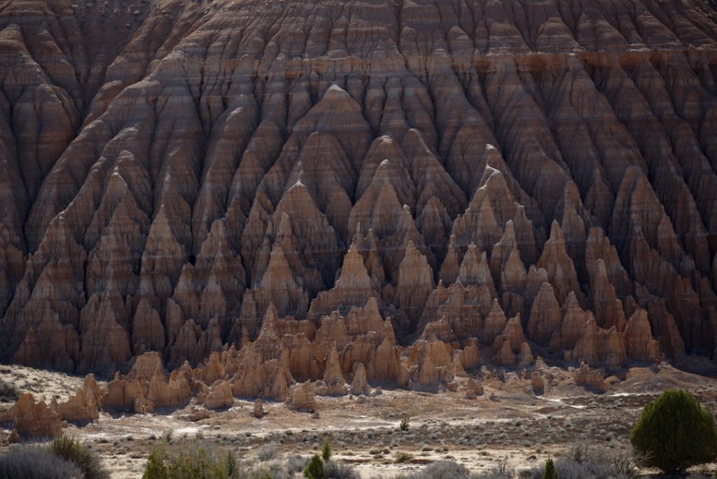 the cathedral-like spires at cathedral gorge
