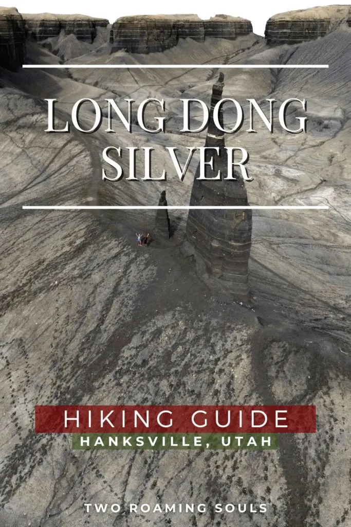 Long Dong Silver Hiking Guide Pin