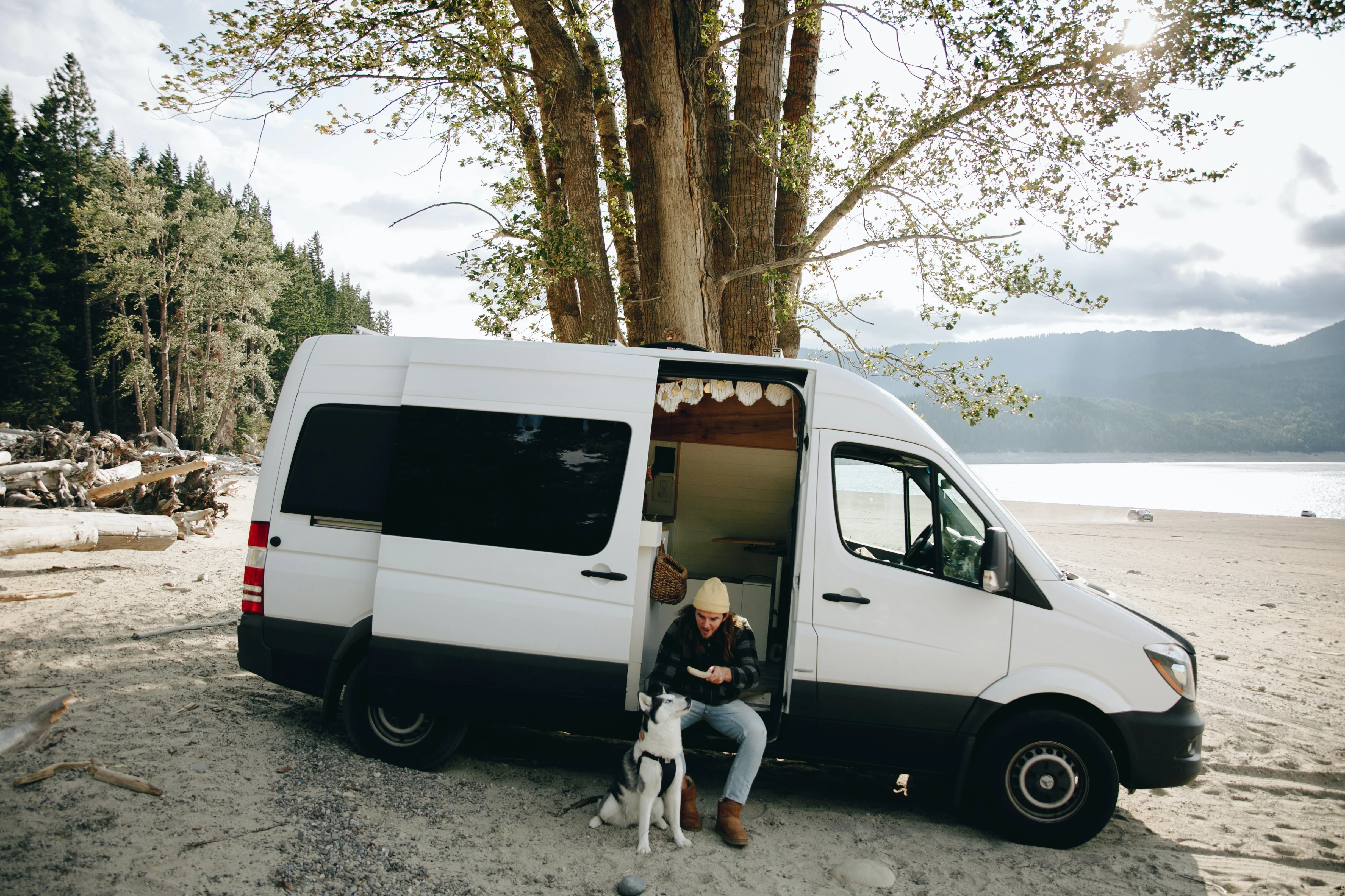 A man and his Husky beachside camping in their Sprinter Campervan.