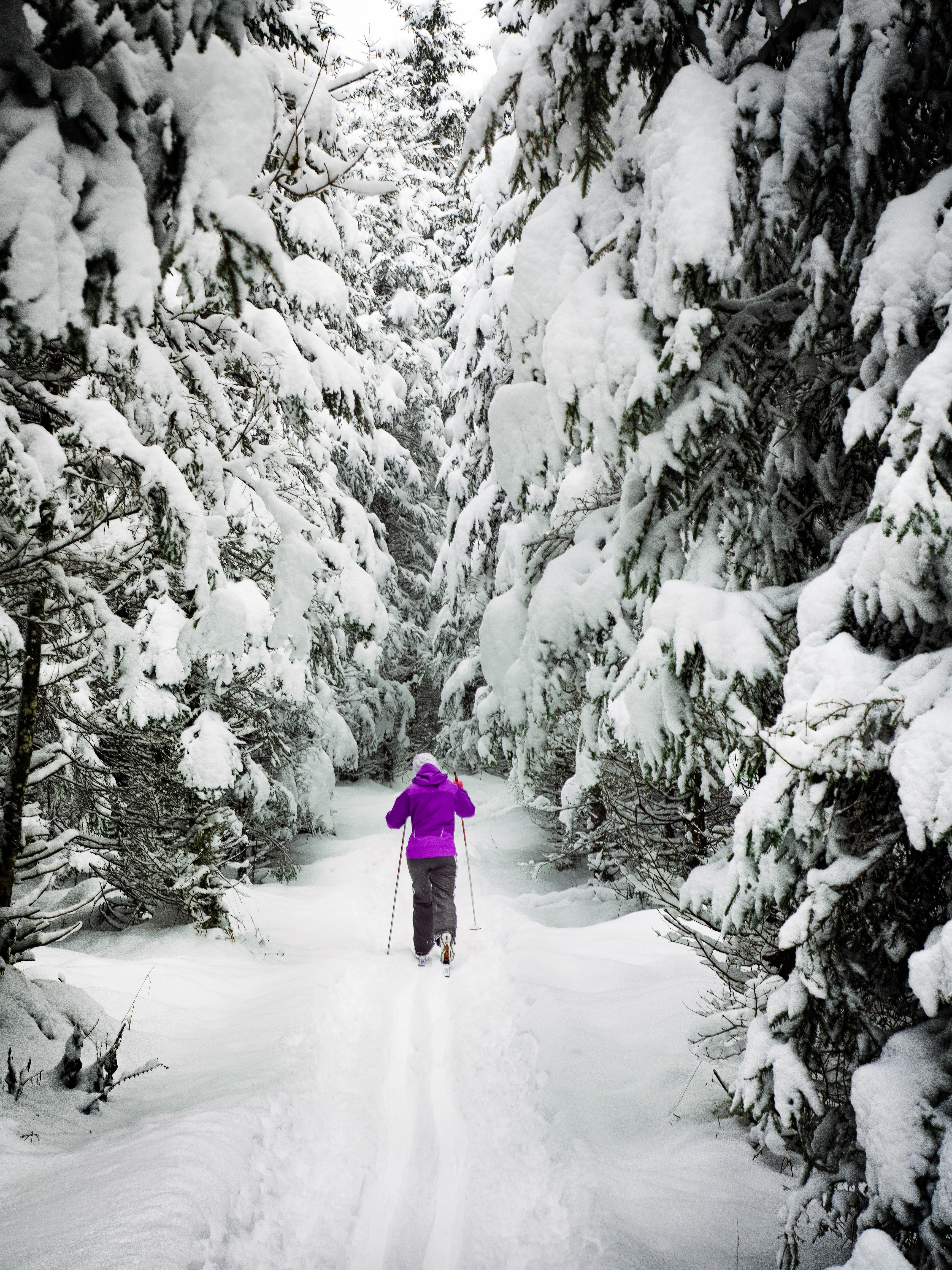 snow covered mountains with a cross country path through the middle which is one of the best things to do in Steamboat Springs in Winter