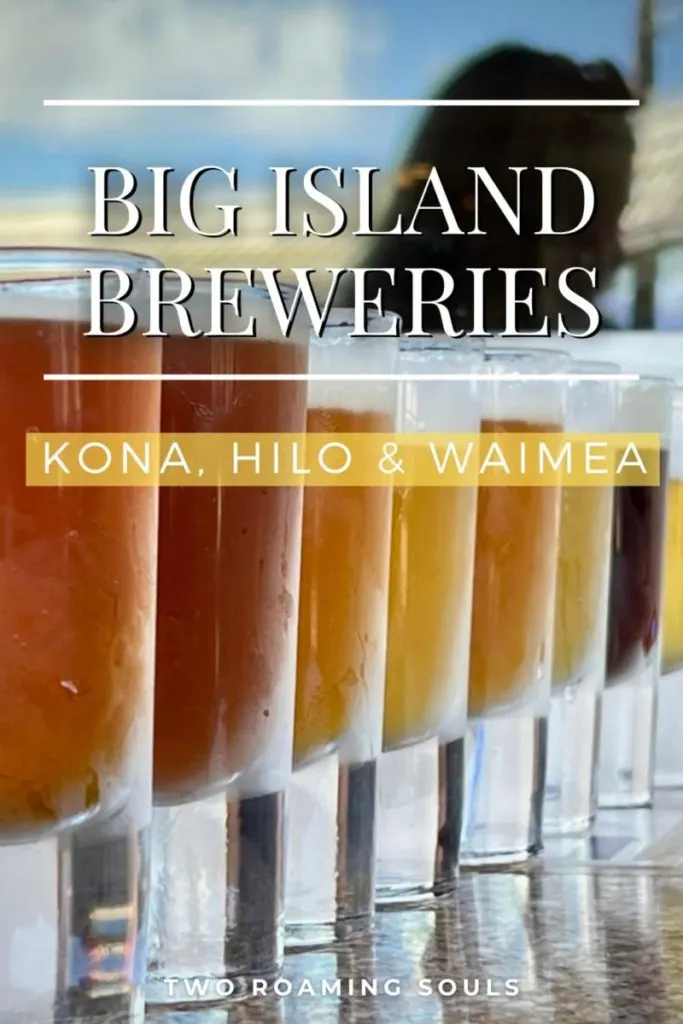 line of a beer flight with workds overlay "Big Island Breweries in Kona, Hilo & Waimea"