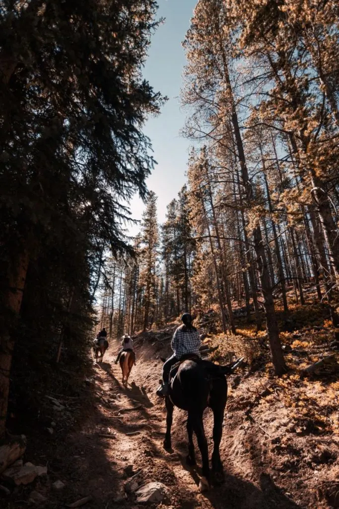 horseback riding through the woods is one of the best things to do in Buena Vista