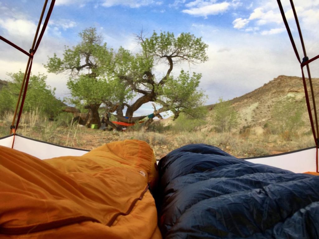 Two sleeping bags in a tent with views of free campsites at Bartlett Wash.