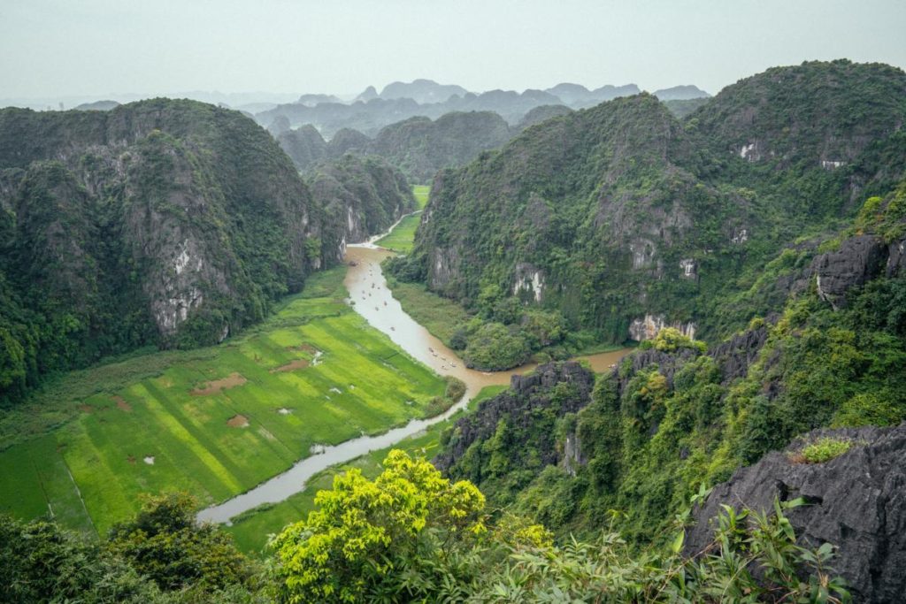 Lush green rice fields on the Tam Coc Boat Tour