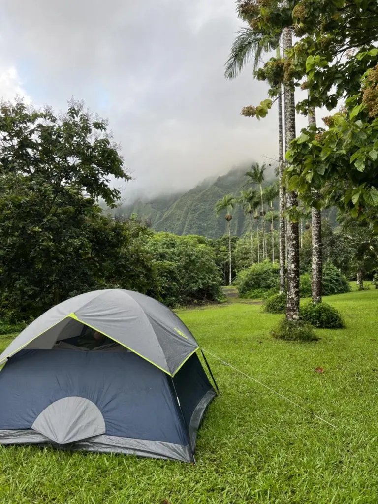 Tent camping Hawaii mountains fog