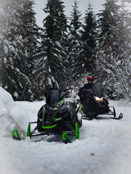 2 snowmobiles on a trail surrounded by snowy trees