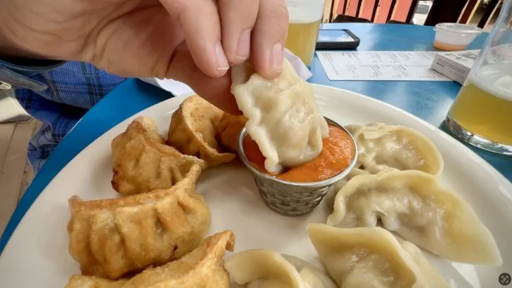 Chicken Momos from Eldo Brewing Company which is one of the best restaurants in Crested Butte, CO