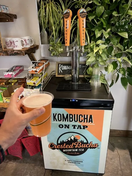 Crested Bucha machine at Coffee Rumors & Tea in downtown Crested Butte