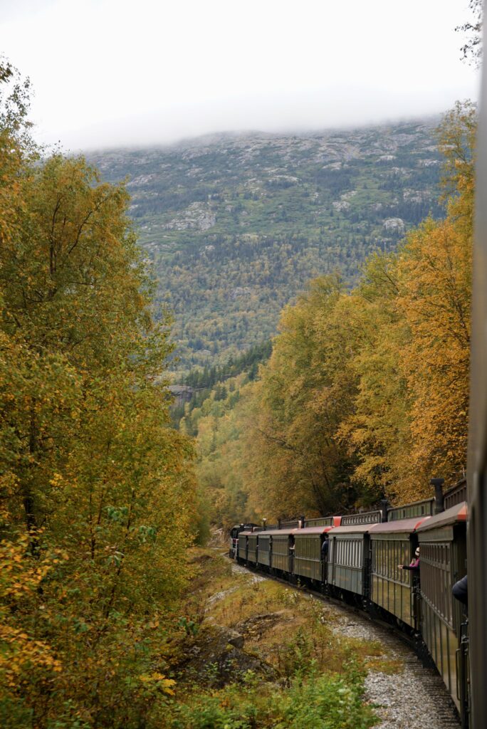 the White Pass & Yukon Railway riding through beautiful fall colored trees and green mountains in the distance, a popular excursion when on the Norwegian Jewel Alaska Cruise