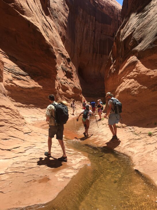 Hiking in West Canyon Lake Powell