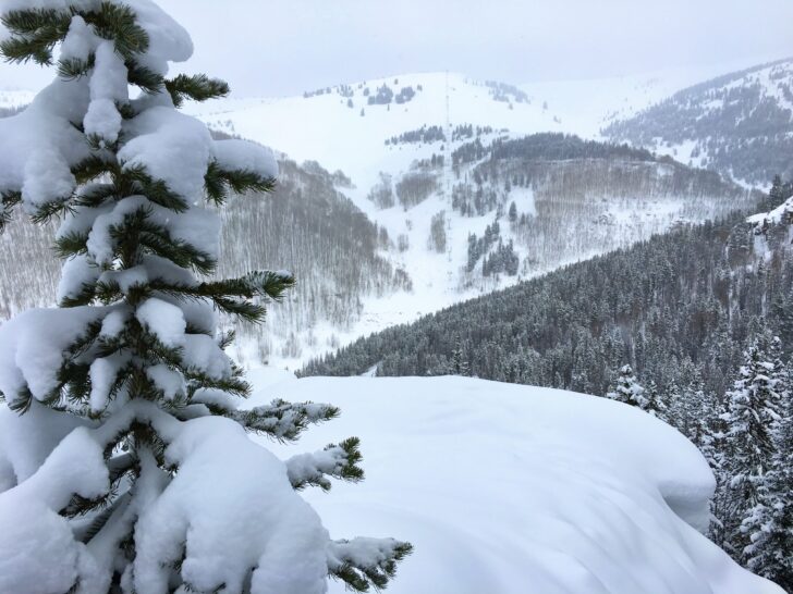 A late March powder day at Vail