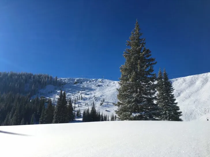 Looking up at Lover's Leap in Blue Sky Basin at Vail Ski Resort.