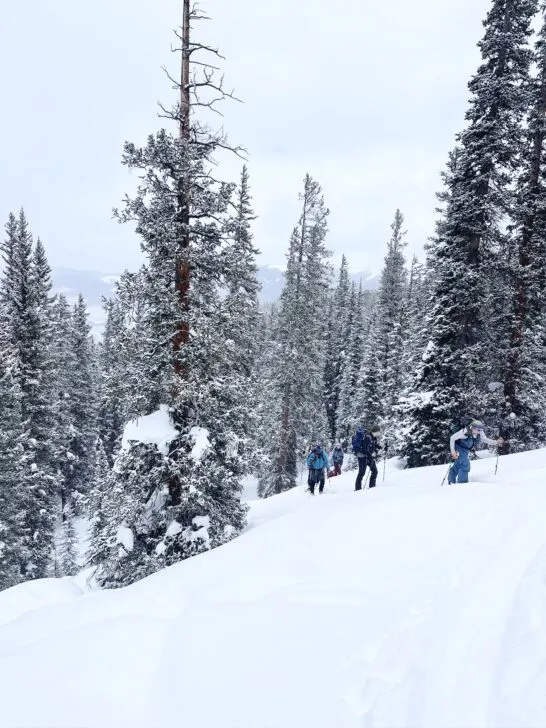 Navigating Snow to a backcountry hut