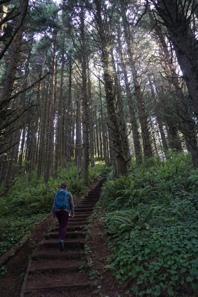 Hiking Hobbit Trail near Florence Oregon.