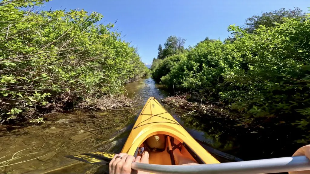 a kayak going over the beaver dam you may encounter when floating the Tapleys section on the River of Golden Dreams