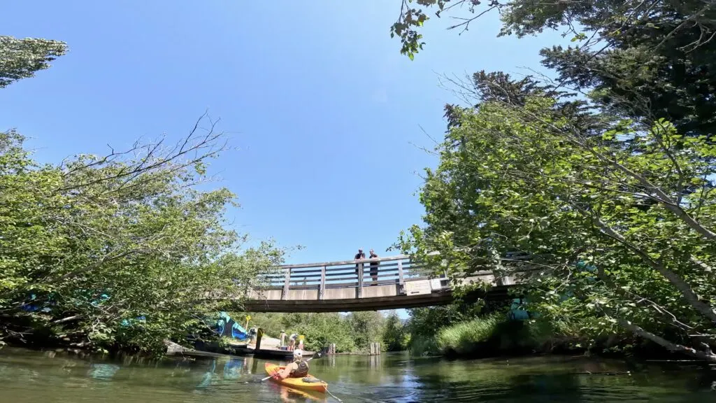 emily heading under the Meadow Park bridge to take our her kayak from the River of Golden Dreams