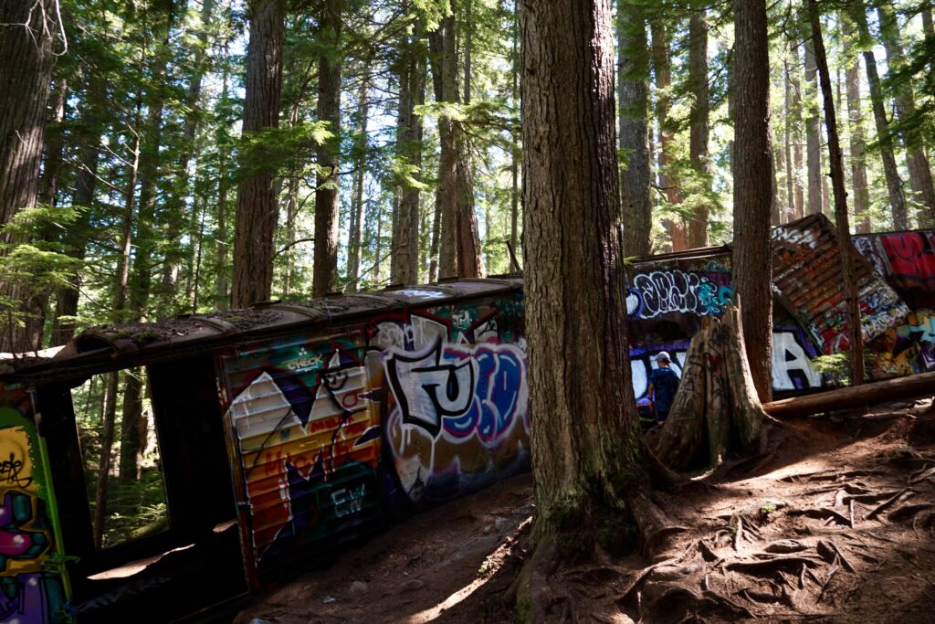 a rail car mangled between trees in Whistler