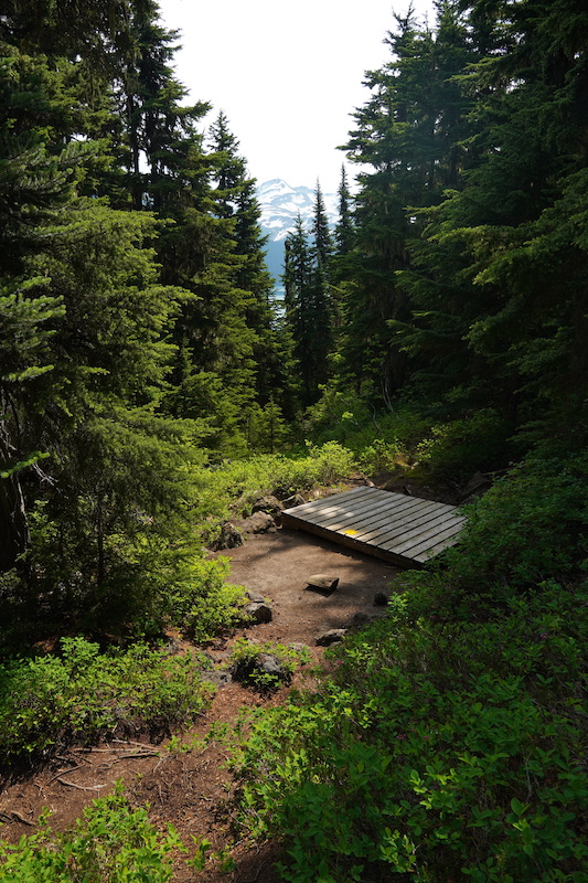 A tend pad a Garibaldi Lake Campground.