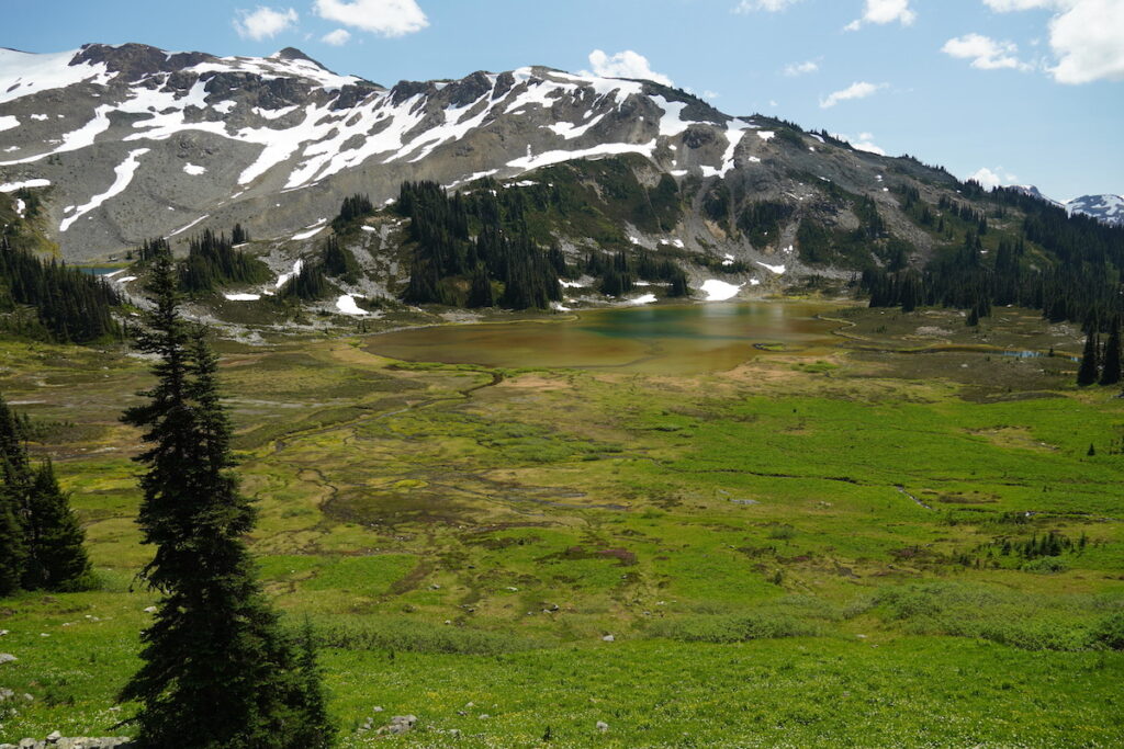 Mimulus Lake seen along the trail.