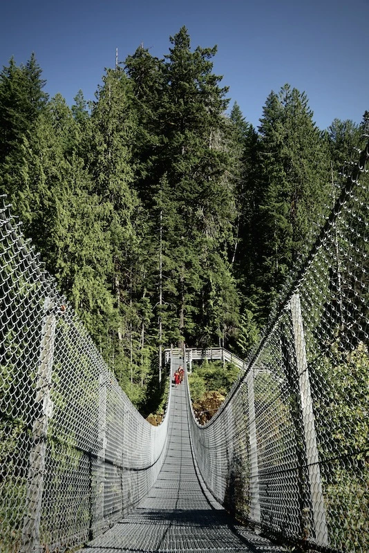 Elk Falls Suspension Bridge