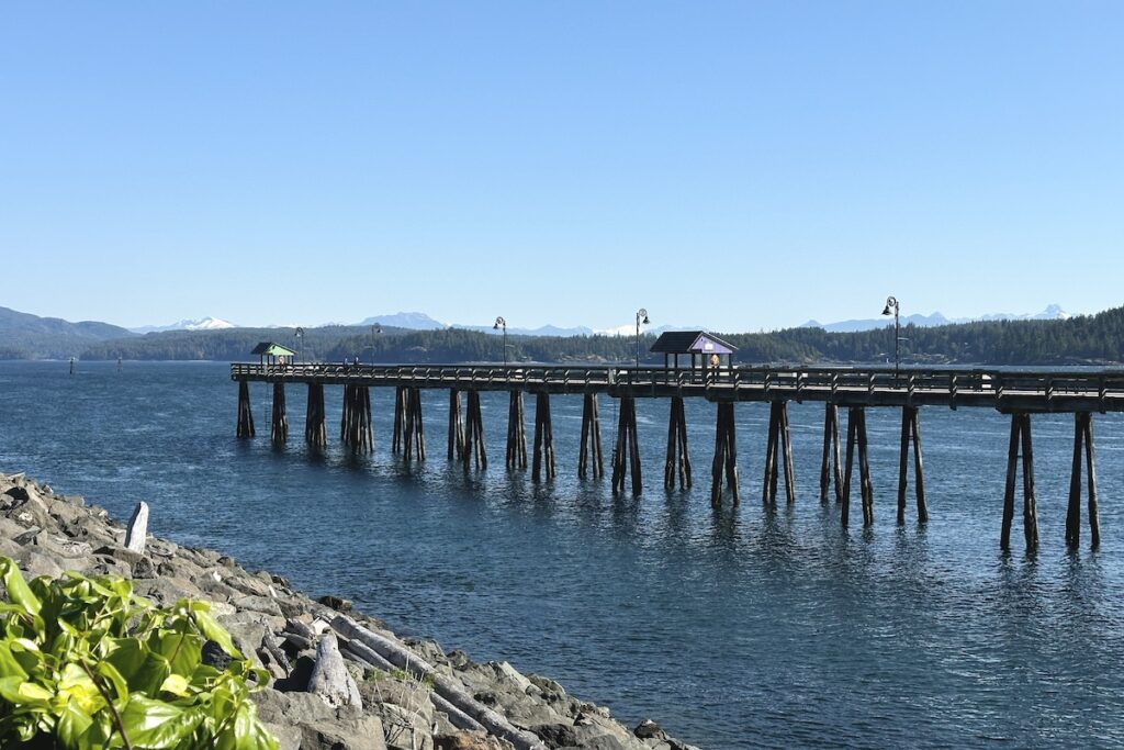 The Discovery Fish Pier